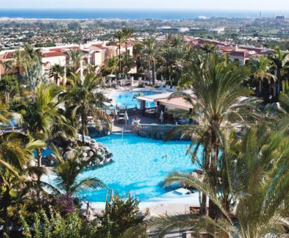 Gran piscina rodeada de un bello palmeral de este hotel con encanto.